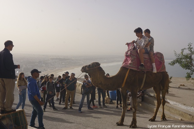 Amistad, respeto y buen humor en el intercambio escolar entre los Liceos franceses de Agadir y Gran Canaria