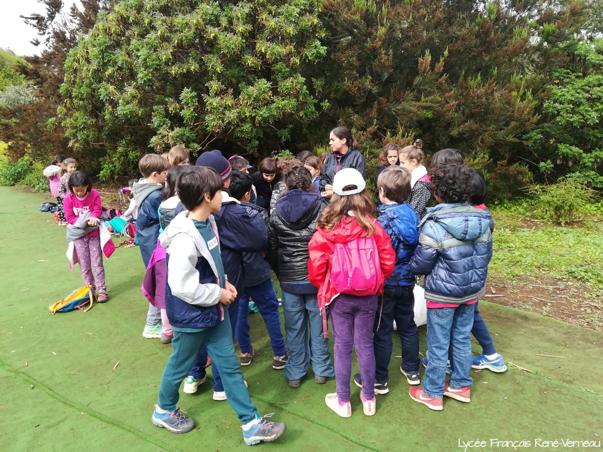 Nueva jornada en La Laurisilva para los alumnos de 3º de Primaria