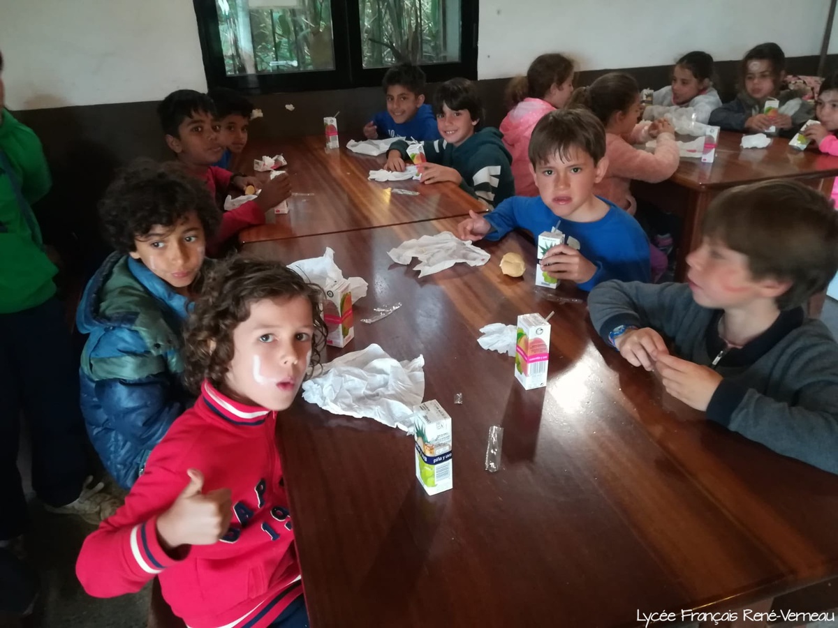 Nueva jornada en La Laurisilva para los alumnos de 3º de Primaria