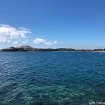 Los alumnos del Liceo Francés de Gran Canaria participan en el proyecto medioambiental “Cuando lo pequeño no se considera basura”