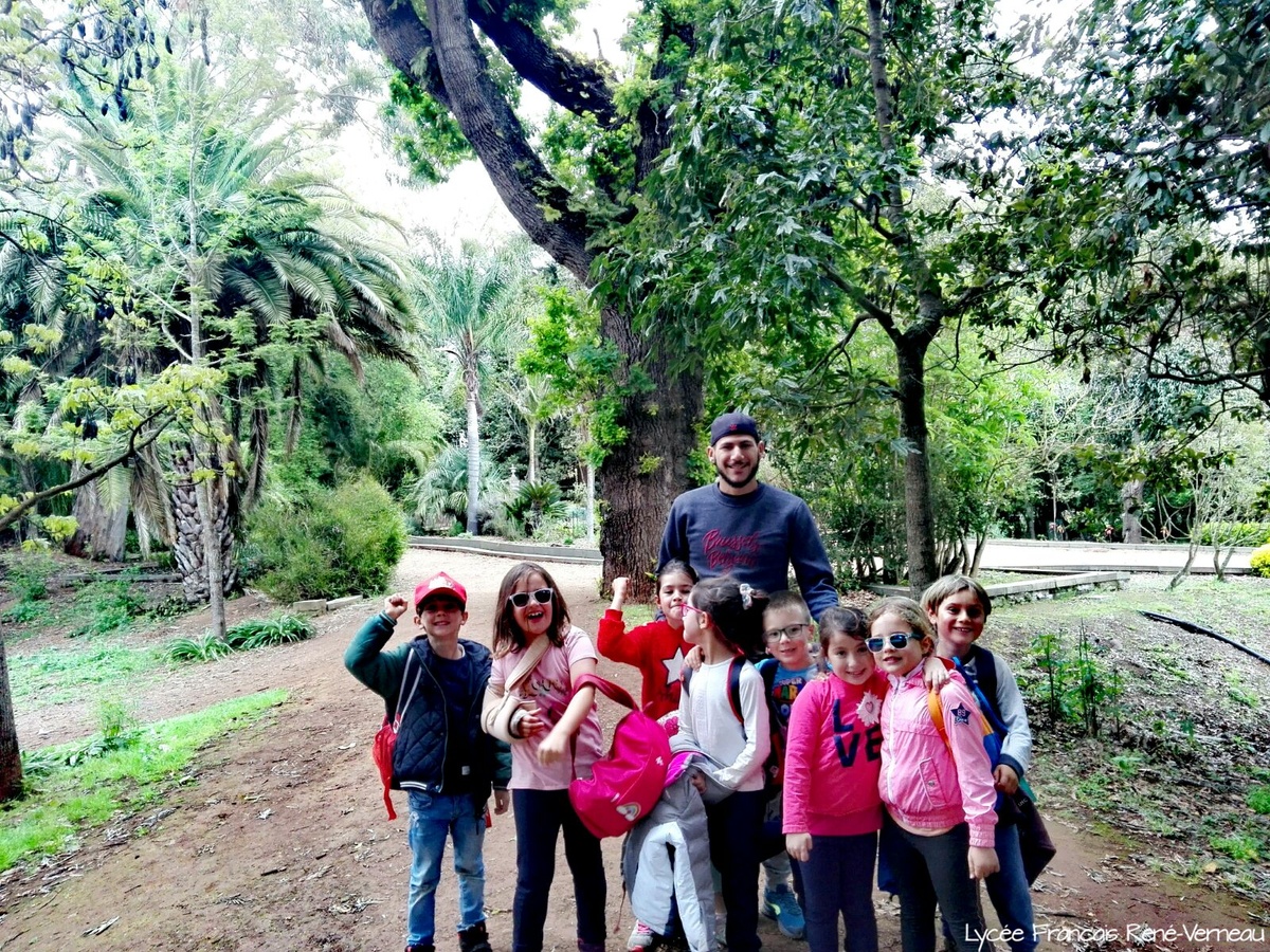 Segundo día de descubrimientos en la naturaleza para los alumnos de 1º de Primaria