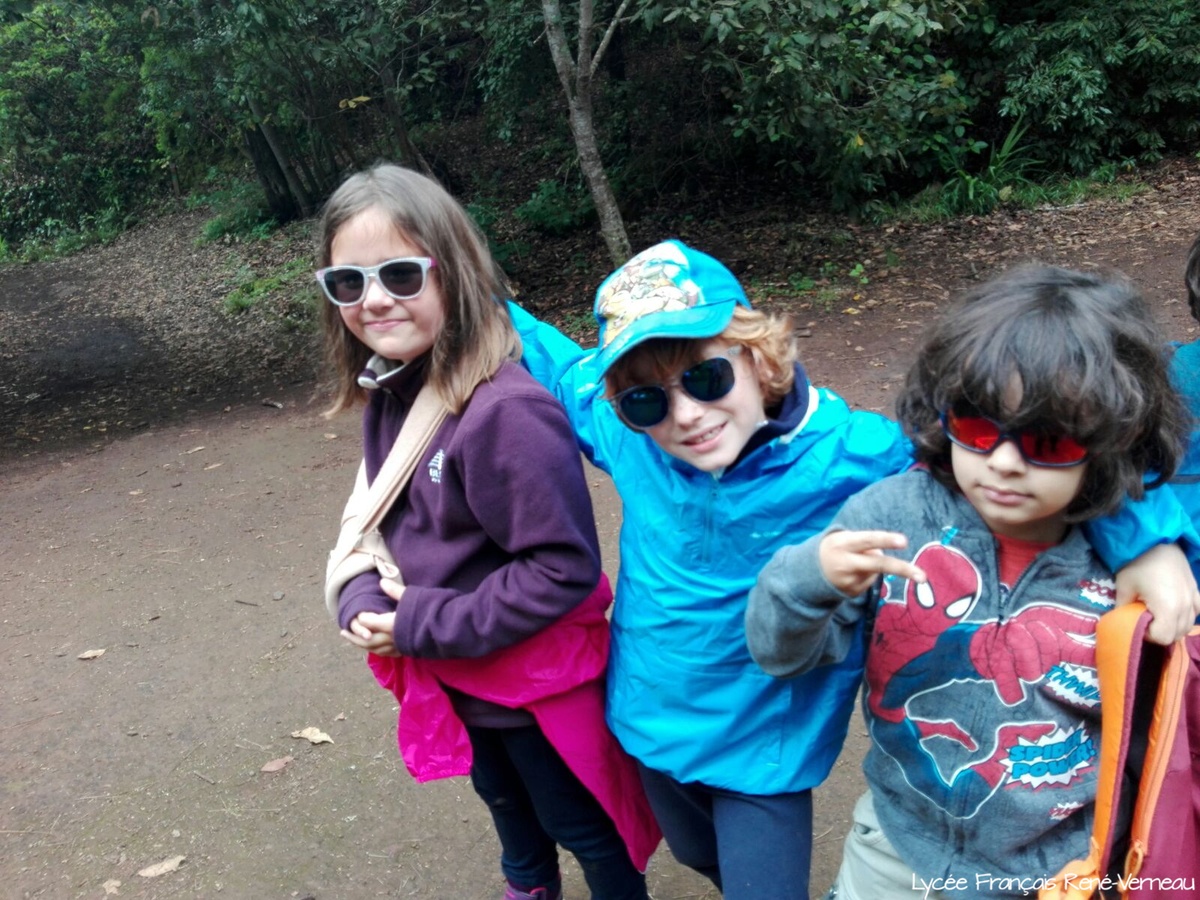 Segundo día de descubrimientos en la naturaleza para los alumnos de 1º de Primaria