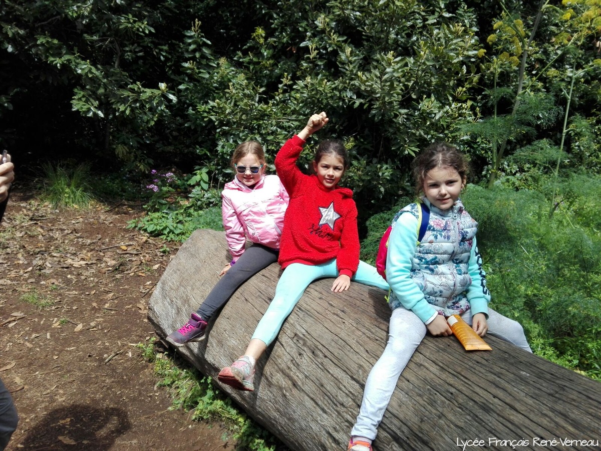 Segundo día de descubrimientos en la naturaleza para los alumnos de 1º de Primaria