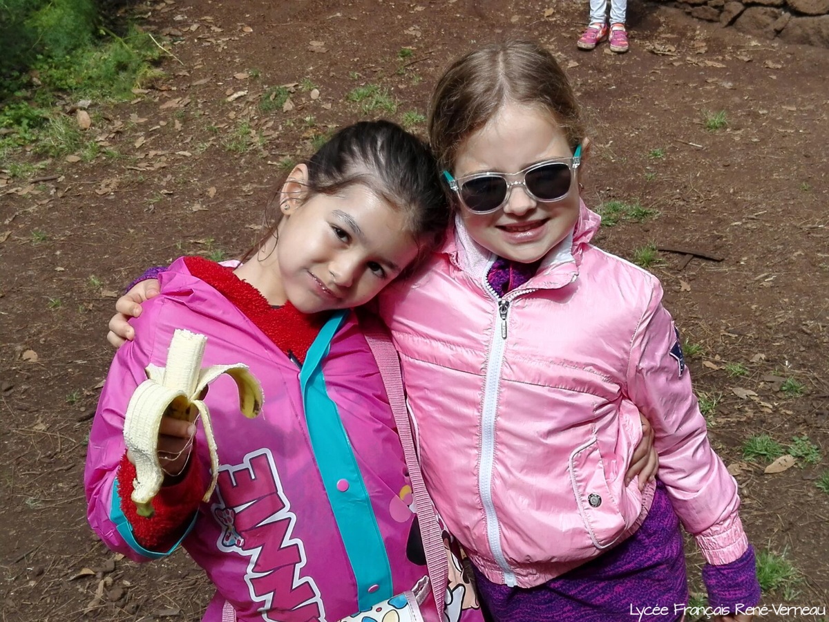 Segundo día de descubrimientos en la naturaleza para los alumnos de 1º de Primaria