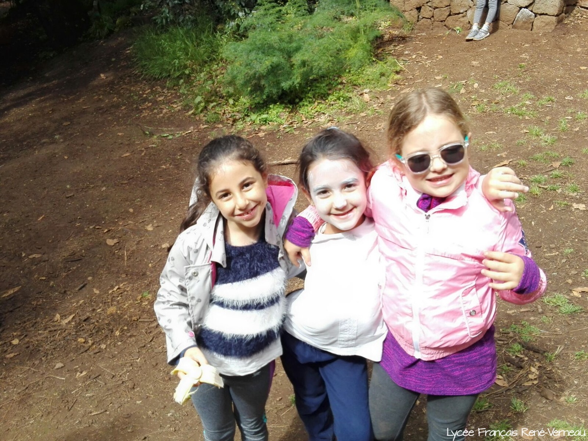 Segundo día de descubrimientos en la naturaleza para los alumnos de 1º de Primaria