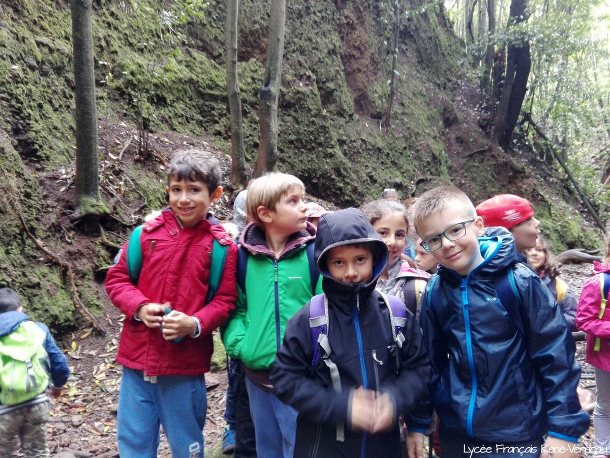 Segundo día de descubrimientos en la naturaleza para los alumnos de 1º de Primaria
