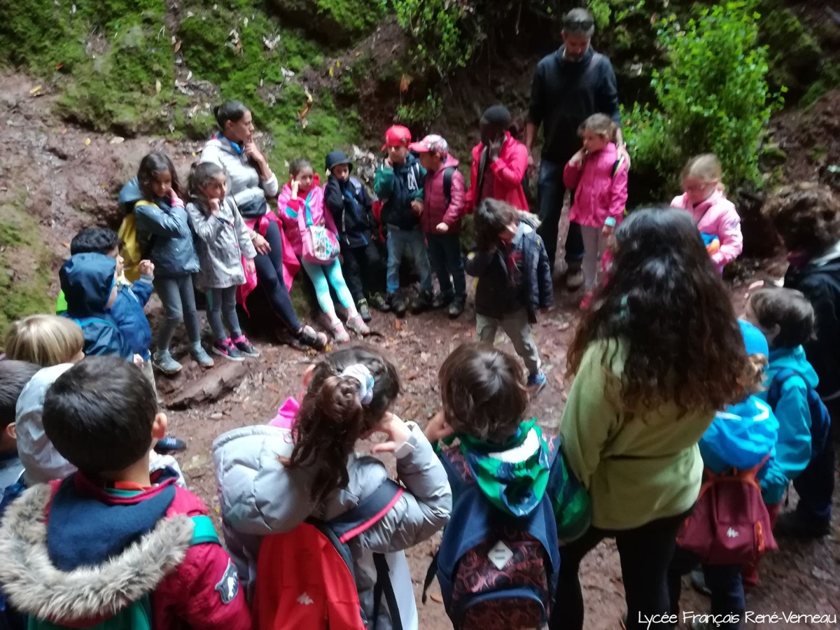Segundo día de descubrimientos en la naturaleza para los alumnos de 1º de Primaria