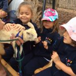 Les élèves de moyenne section visitent le zoo «Cocodrilo Park»