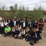 Vigilantes verdes