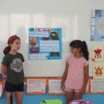 ¡Descubramos los insectos!